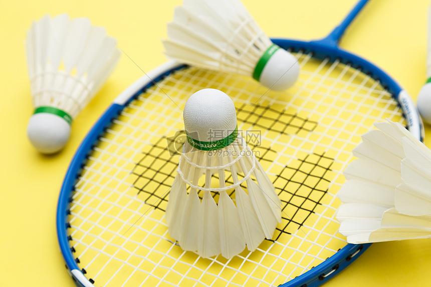 中表现出色 中表现出色