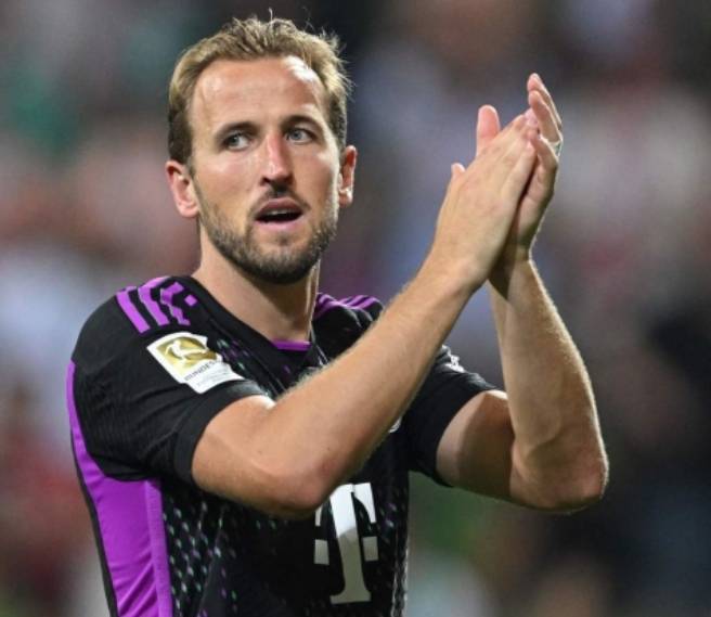 无疑与他们 无疑与他们